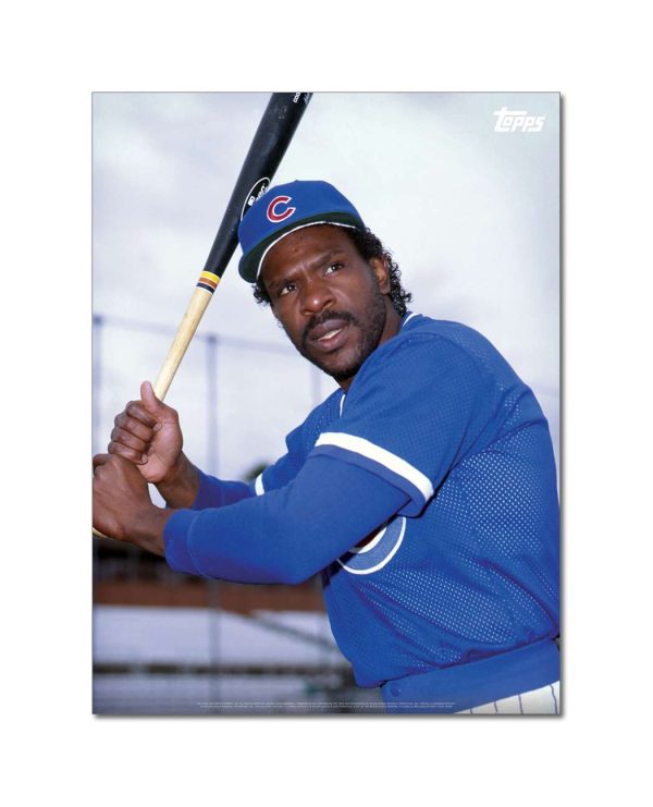 Andre Dawson Player Portrait Poster #6-18 x 24- artpp-ad06-130311-m