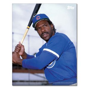 Andre Dawson Player Portrait Poster #6-11 x 14- artpp-ad06-130311-s