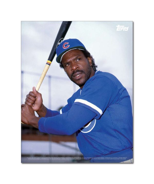 Andre Dawson Player Portrait Poster #6-11 x 14- artpp-ad06-130311-s