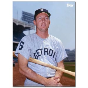 Al Kaline Player Portrait Poster #1-21.5 x 29.5- artpp-ak01-130101-l