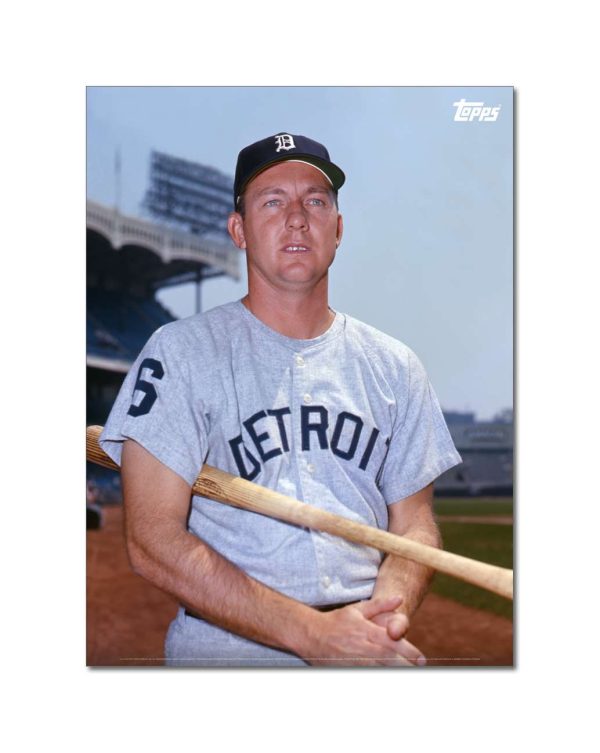 Al Kaline Player Portrait Poster #1-21.5 x 29.5- artpp-ak01-130101-l