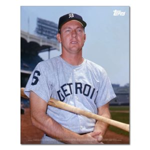 Al Kaline Player Portrait Poster #1-11 x 14- artpp-ak01-130101-s
