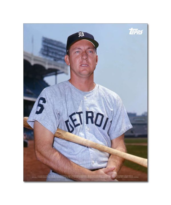 Al Kaline Player Portrait Poster #1-11 x 14- artpp-ak01-130101-s