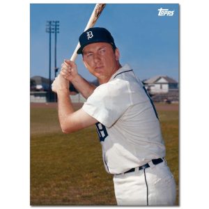 Al Kaline Player Portrait Poster #2-21.5 x 29.5- artpp-ak02-130102-l