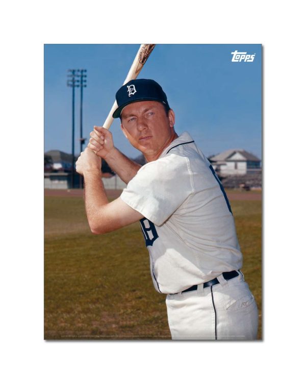 Al Kaline Player Portrait Poster #2-21.5 x 29.5- artpp-ak02-130102-l