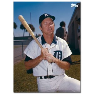 Al Kaline Player Portrait Poster #3-21.5 x 29.5- artpp-ak03-130103-l