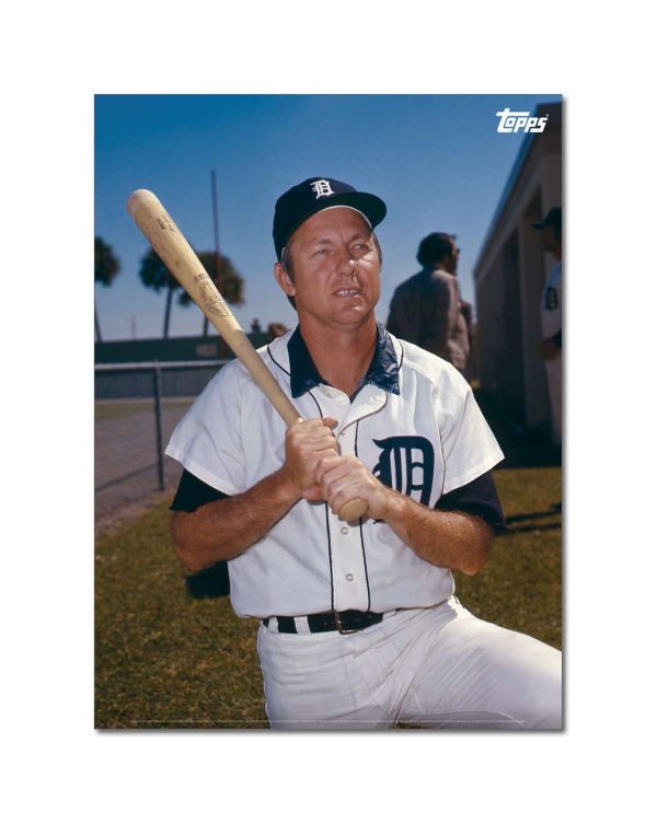 Al Kaline Player Portrait Poster #3-21.5 x 29.5- artpp-ak03-130103-l