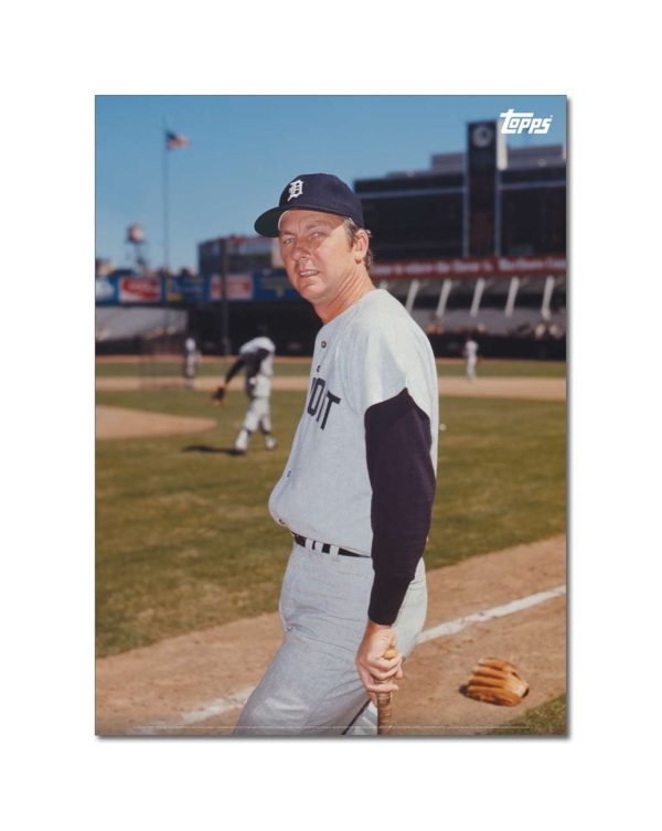 Al Kaline Player Portrait Poster #4-21.5 x 29.5- artpp-ak04-130104-l