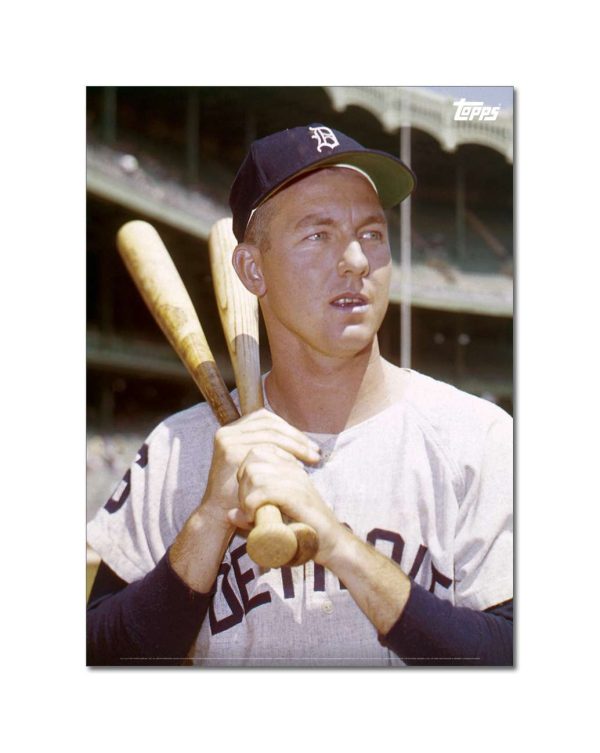 Al Kaline Player Portrait Poster #5-21.5 x 29.5- artpp-ak05-130375-l