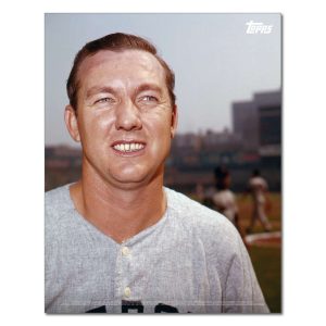 Al Kaline Player Portrait Poster #6-11 x 14- artpp-ak06-130376-s