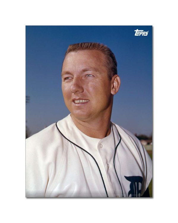 Al Kaline Player Portrait Poster #7-21.5 x 29.5- artpp-ak07-130377-l