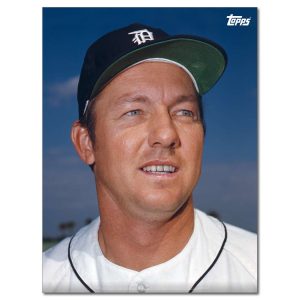 Al Kaline Player Portrait Poster #9-18 x 24- artpp-ak09-130379-m