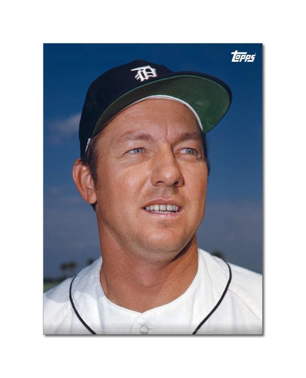 Al Kaline Player Portrait Poster #9-18 x 24- artpp-ak09-130379-m