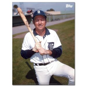Al Kaline Player Portrait Poster #10-18 x 24- artpp-ak10-130380-m