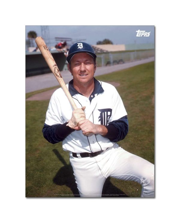 Al Kaline Player Portrait Poster #10-18 x 24- artpp-ak10-130380-m
