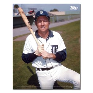 Al Kaline Player Portrait Poster #10-11 x 14- artpp-ak10-130380-s