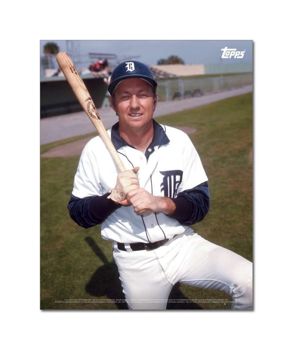 Al Kaline Player Portrait Poster #10-11 x 14- artpp-ak10-130380-s
