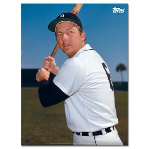 Al Kaline Player Portrait Poster #11-18 x 24- artpp-ak11-130381-m