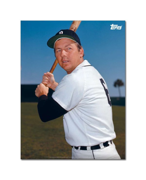 Al Kaline Player Portrait Poster #11-18 x 24- artpp-ak11-130381-m