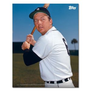 Al Kaline Player Portrait Poster #11-11 x 14- artpp-ak11-130381-s