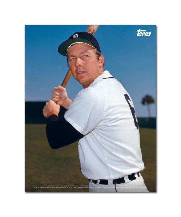 Al Kaline Player Portrait Poster #11-11 x 14- artpp-ak11-130381-s