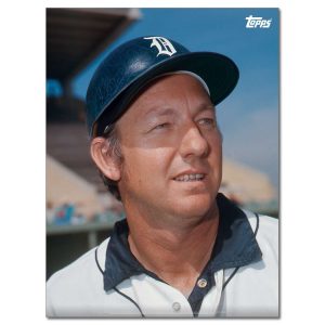 Al Kaline Player Portrait Poster #12-18 x 24- artpp-ak12-130382-m