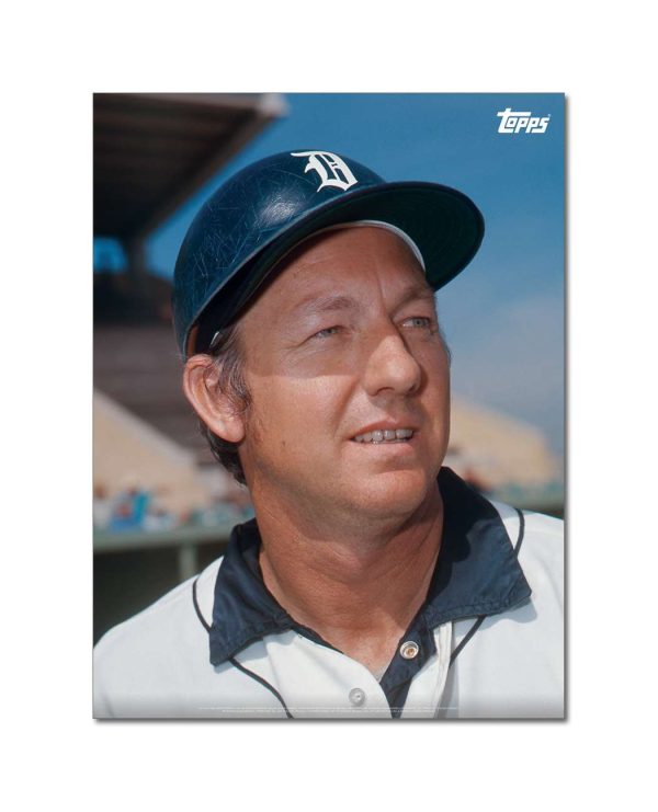 Al Kaline Player Portrait Poster #12-18 x 24- artpp-ak12-130382-m