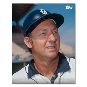 Al Kaline Player Portrait Poster #12-11 x 14- artpp-ak12-130382-s