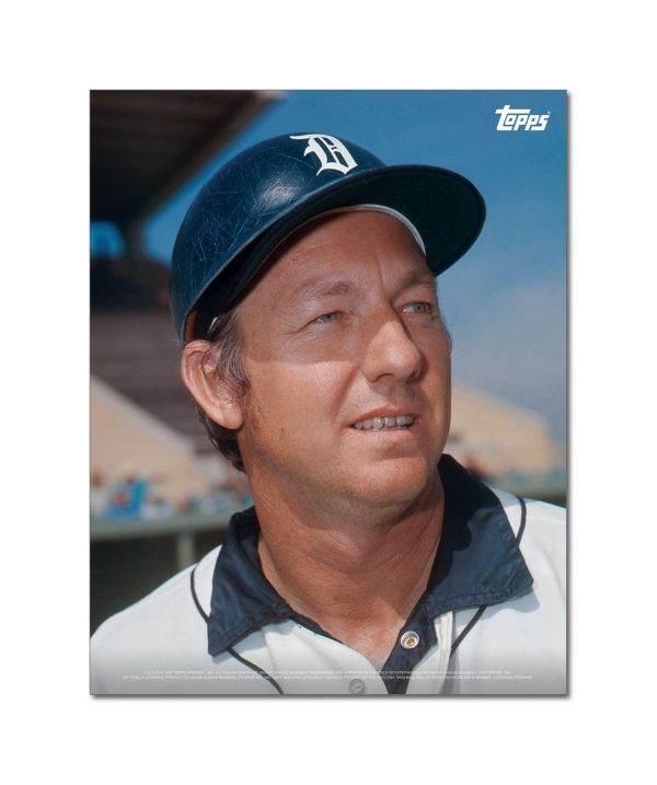 Al Kaline Player Portrait Poster #12-11 x 14- artpp-ak12-130382-s