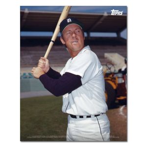 Al Kaline Player Portrait Poster #13-11 x 14- artpp-ak13-130383-s