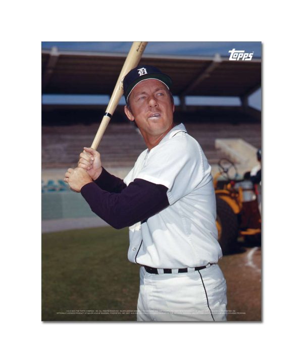 Al Kaline Player Portrait Poster #13-11 x 14- artpp-ak13-130383-s