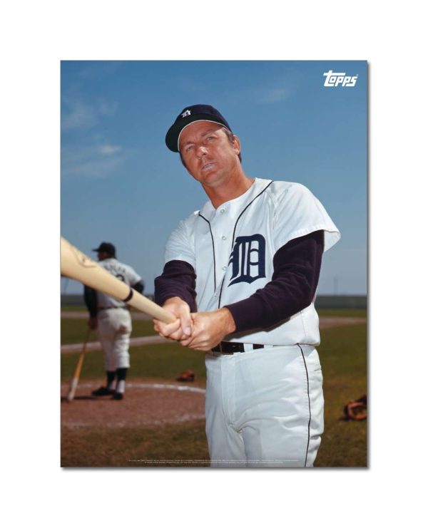 Al Kaline Player Portrait Poster #14-18 x 24- artpp-ak14-130384-m