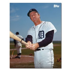 Al Kaline Player Portrait Poster #14-11 x 14- artpp-ak14-130384-s