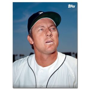 Al Kaline Player Portrait Poster #15-18 x 24- artpp-ak15-130385-m
