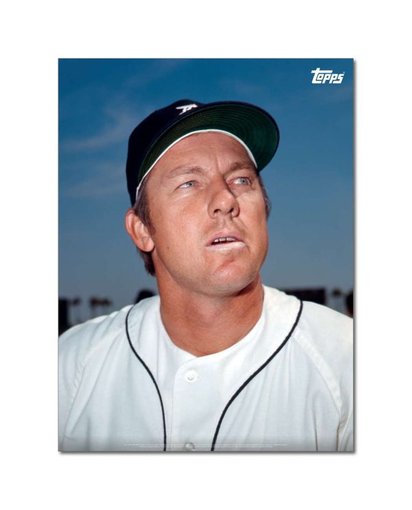 Al Kaline Player Portrait Poster #15-18 x 24- artpp-ak15-130385-m