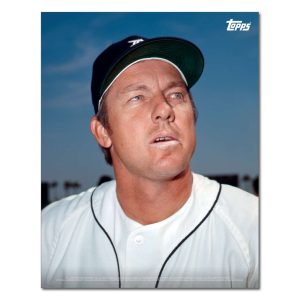 Al Kaline Player Portrait Poster #15-11 x 14- artpp-ak15-130385-s