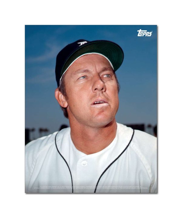 Al Kaline Player Portrait Poster #15-11 x 14- artpp-ak15-130385-s