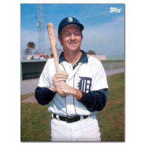 Al Kaline Player Portrait Poster #16-18 x 24- artpp-ak16-130386-m