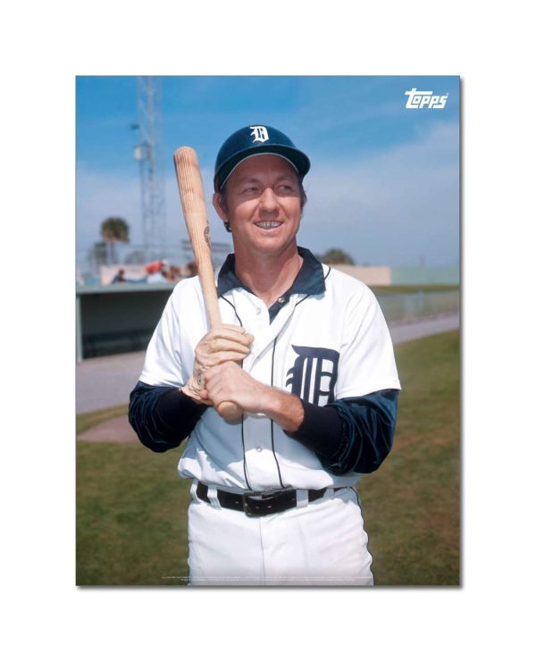 Al Kaline Player Portrait Poster #16-18 x 24- artpp-ak16-130386-m