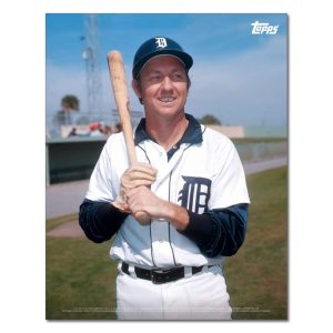Al Kaline Player Portrait Poster #16-11 x 14- artpp-ak16-130386-s