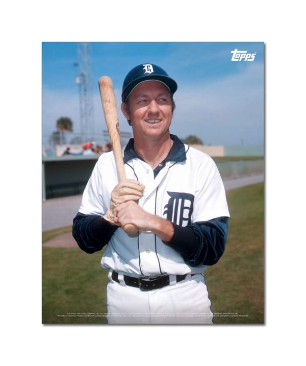 Al Kaline Player Portrait Poster #16-11 x 14- artpp-ak16-130386-s
