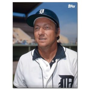 Al Kaline Player Portrait Poster #17-18 x 24- artpp-ak17-130387-m