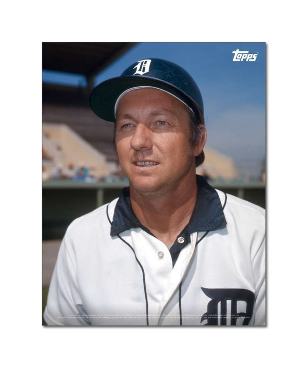 Al Kaline Player Portrait Poster #17-11 x 14- artpp-ak17-130387-s