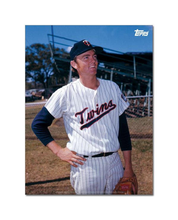 Bert Blyleven Player Portrait Poster #6-18 x 24- artpp-bb06-130236-m