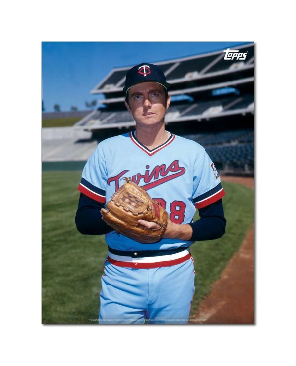 Bert Blyleven Player Portrait Poster #7-18 x 24- artpp-bb07-130237-m