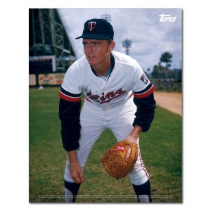 Bert Blyleven Player Portrait Poster #8-11 x 14- artpp-bb08-130238-s