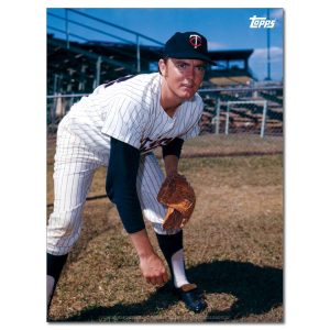 Bert Blyleven Player Portrait Poster #9-18 x 24- artpp-bb09-130239-m