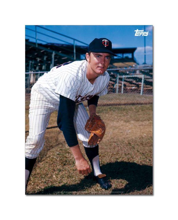 Bert Blyleven Player Portrait Poster #9-18 x 24- artpp-bb09-130239-m