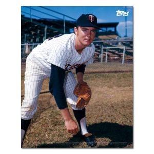 Bert Blyleven Player Portrait Poster #9-11 x 14- artpp-bb09-130239-s