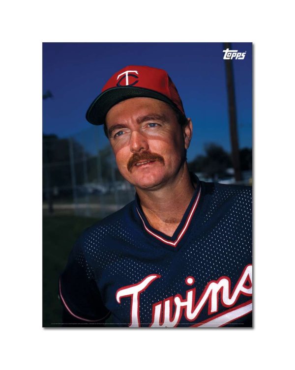 Bert Blyleven Player Portrait Poster #12-21.5 x 29.5- artpp-bb12-130242-l